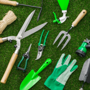 Home & Garden